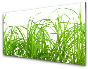 Fali üvegkép Grass Nature Plant 100x50 cm 4 fogas