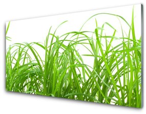 Fali üvegkép Grass Nature Plant 100x50 cm