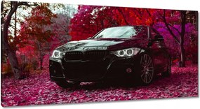 Vászonkép 115x55 Fekete Bmw Ősz