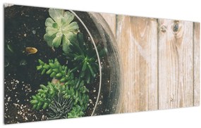 A pozsgás növények képe üvegben (120x50 cm)