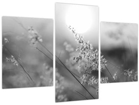 Kép - Őszi rét (90x60 cm)