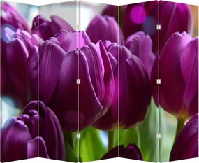 Paraván - Tulipán (210x170 cm)