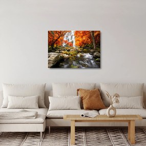 Kép - vízesések a narancssárga erdőben (üvegen) (70x50 cm)