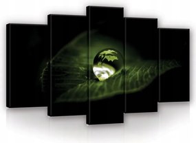 Vászonkép 100x60 Vízcsepp levél makro természet Föld tükröződés élet