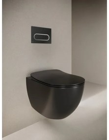 Ravak X01797 - Öblítőgomb 24,7x16,5 cm króm fekete