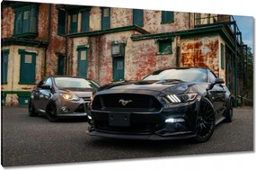 Vászonkép 120x70 Fekete amerikai szörny