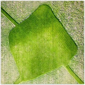 Poszterek 140x140 Fű mező rét út