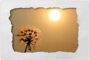 Poszterek 90x60 Pitypang Virág Virágok