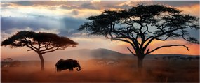 Kép - Serengeti Nemzeti Park, Tanzánia, Afrika (120x50 cm)