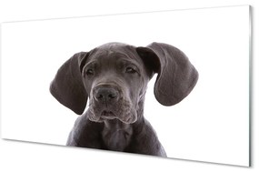 Akrilkép barna kutya 125x50 cm