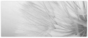 Kép - Pitypang (120x50 cm)