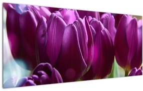 Tulipán képe (120x50 cm)