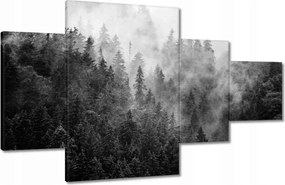 Vászonkép 130x80 Tájkép Szürke Hegyek Köd