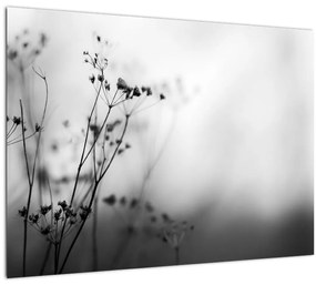 Kép - Réti virágok részlete (70x50 cm)