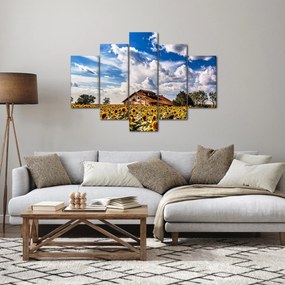 Napraforgó mező képe (150x105 cm)