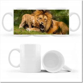 Fotó bögre Állatok