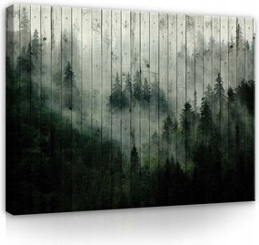Vászonkép 80x60 Ködös erdő misztikum természet nyugalom mélység fa textúra
