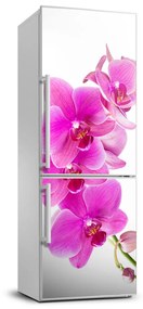 Hűtőre ragasztható matrica Rózsaszín orchidea FridgeStick-70x190-f-67673367