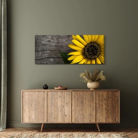 Kép - Napraforgó virága (120x50 cm)