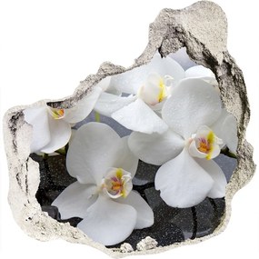 Fali matrica lyuk a falban Orchidea nd-p-143985624