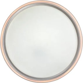 Rabalux 75086 - LED dimmelhető mennyezeti lámpa ZERINA 31W/230V IP40 3000-6500K átm. 41,5 cm + távirányító