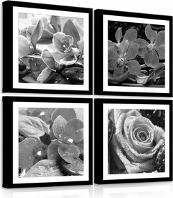 Kép a nappaliba modern Virágok nagy sorozat 4db