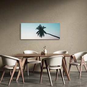 Kép - Pálmafa Balin (120x50 cm)