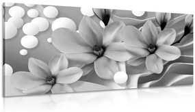 Kép magnóliák fekete fehér háttérel