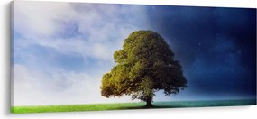 Kép - Éjjel - nappal (120x50 cm)
