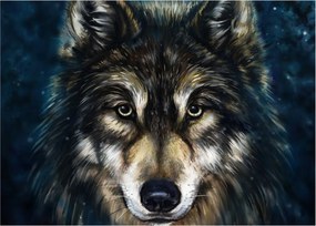 Kép - Wolf (70x50 cm)