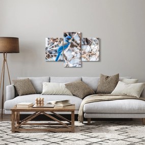 Kép - Téli madár (90x60 cm)