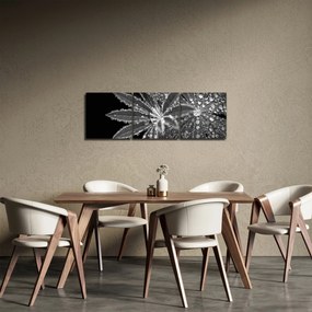 Kép - Levelek cseppekkel (órával) (90x30 cm)