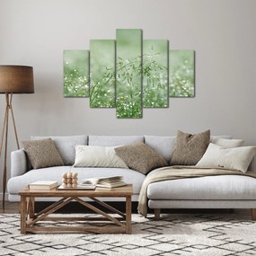 Kép - Harmat a fűben (150x105 cm)