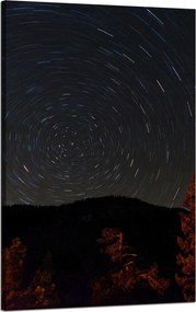 Vászonkép Természet Erdő Éjszaka Hegyek Absztrakt Fák 50x80