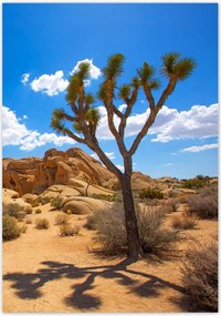 Poszterek 70x100 Sivatagi táj