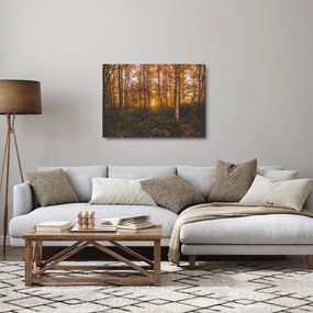 Egy őszi erdő képe (üvegen) (70x50 cm)