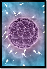 Poszterek keretben 40x60 Ne maradj le