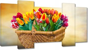 Képek 120x65 Tulipánok Virágok