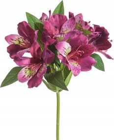 Művirág Rododendron Sötét rózsaszín 48 cm