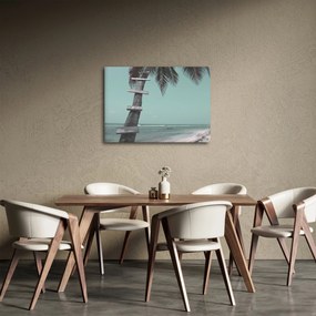 Kép - Palma a Karib-tengeren (70x50 cm)