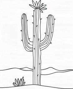 Poszter 67,5x95cm Sivatagi nagyfiú