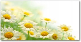 Panel a konyhabútor között Margaréta 100x50 +ragasztó