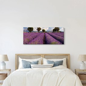 Kép - Levendula mező és hegyek (120x50 cm)