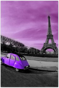 Poszterek 80x120 Lila Citroen