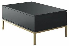 Lord Anthracite and Gold konferenciaasztal