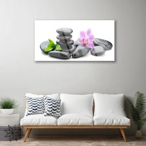 Akril üveg kép Virág Zen kövek 120x60 cm