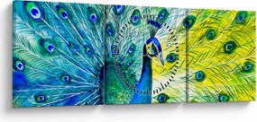 Páva képe (órával) (90x30 cm)