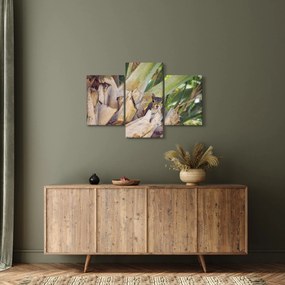 Mókus képe a fán (90x60 cm)