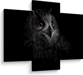 Kép - bagoly, ábra (90x60 cm)