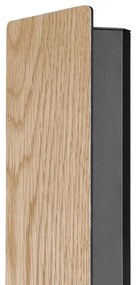 Eglo 900325 - LED Fali lámpa ZUBIALDE LED/12W/230V